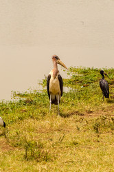 Similar image 20120823