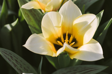 Similar image 19944668