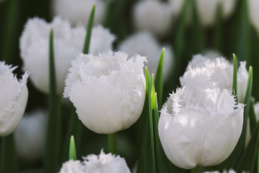 Similar image 19944671