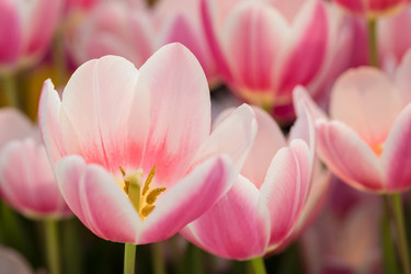 Similar image 19944673