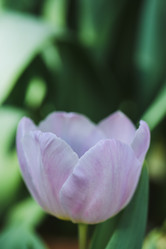 Similar image 19944674