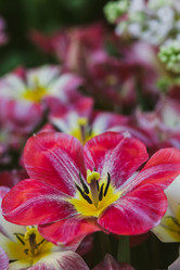 Similar image 19944675