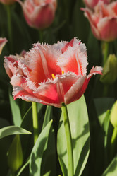 Similar image 19944676