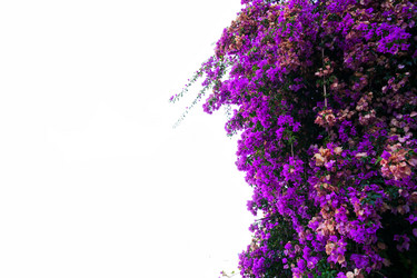 Similar image 20070261