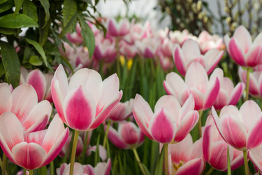 Similar image 19944712