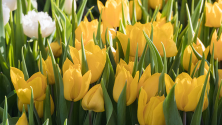 Similar image 19944713