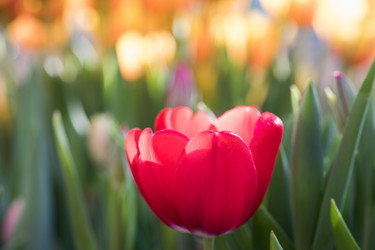 Similar image 19944720