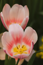 Similar image 19944728