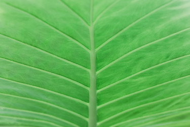 Similar image 19944743