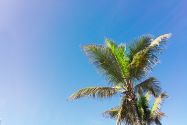 Similar image 20070267