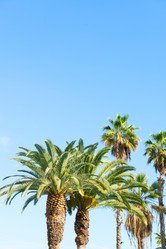 Similar image 20070270