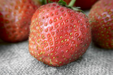 Similar image 20161115