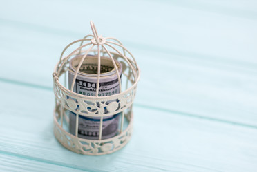 Similar image 20054499