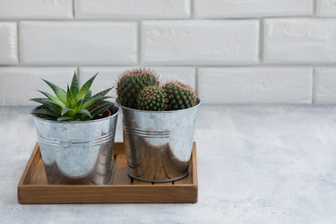 Similar image 19944677