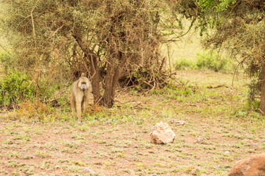 Similar image 20120908