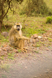 Similar image 20121008