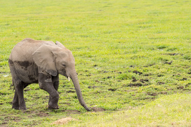 Similar image 20121010