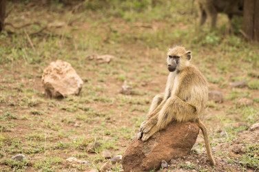 Similar image 20121012