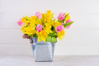 Similar image 20070279