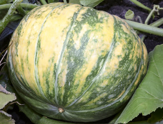 Similar image 20162314