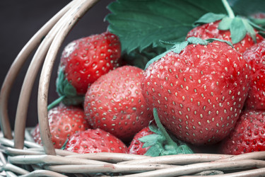 Similar image 20162917