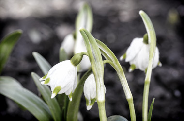 Similar image 20162930