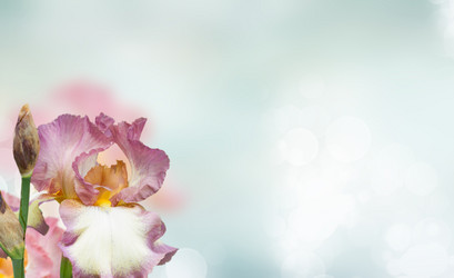 Similar image 20070288