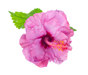 Similar image 20070289