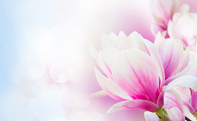 Similar image 20070290