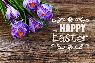 Similar image 20070296