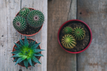 Similar image 19944964