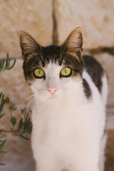 Similar image 19944607