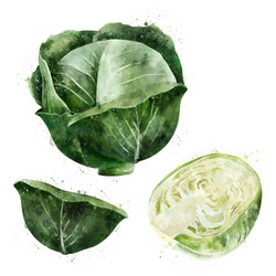 Similar image 20108933