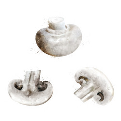 Similar image 20108936