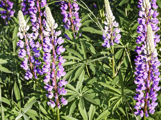 Similar image 20158488