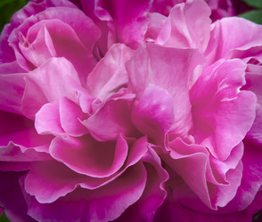 Similar image 20158499