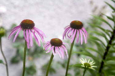 Similar image 20158502