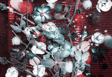 Similar image 20161117