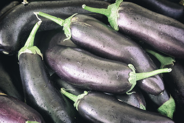 Similar image 20158486