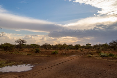 Similar image 20120820