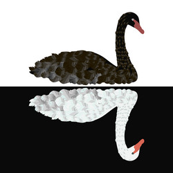 Similar image 20148527