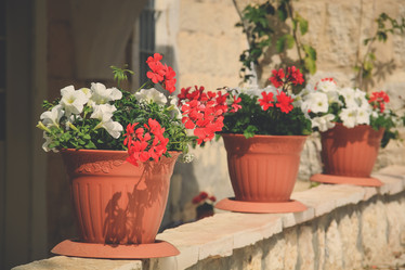 Similar image 19944567