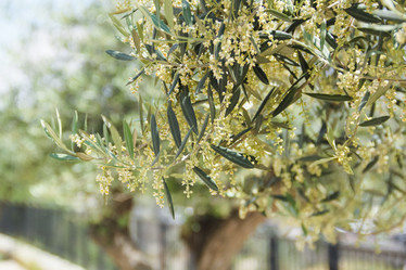 Similar image 19944586