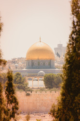 Similar image 19944589