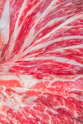 Similar image 19939606