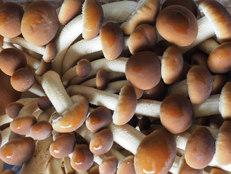 Similar image 20158451