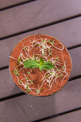 Similar image 20102687