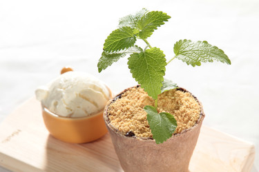 Similar image 20102267