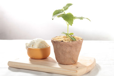 Similar image 20102277