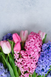 Similar image 20070324